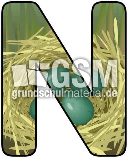 Frühling-Buchstabe-N.jpg